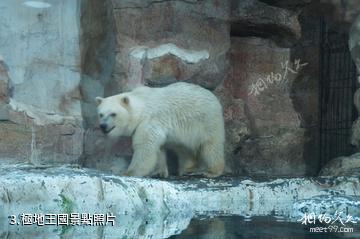 杭州極地海洋公園-極地王國照片