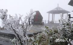 广西大明山国家级自然保护区旅游攻略之观雪亭