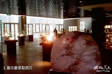 浙江東方地質博物館-展示廳照片