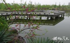 富阳东吴文化公园旅游攻略之栈桥