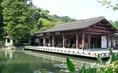 杭州植物園旅遊攻略之玉泉魚躍