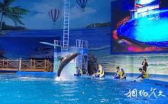 西宁新华联国际旅游城·童梦乐园旅游攻略之海豚秀场