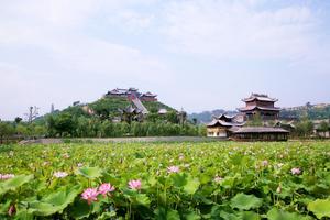 陝西渭南臨渭三張旅遊攻略-三張鎮景點排行榜