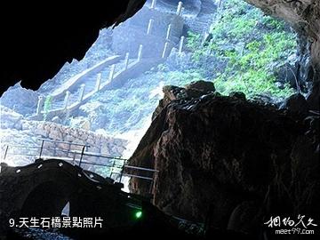 九華秋浦勝境·大王洞風景區-天生石橋照片