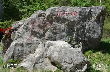 陇县龙门洞森林公园-牡丹石照片