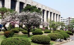 韩国延世大学校园概况之中央图书馆