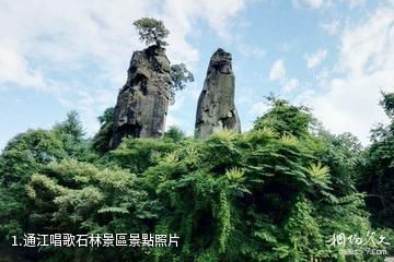 通江唱歌石林景區照片