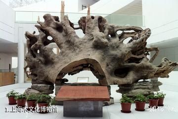 上海木文化博物馆照片