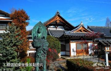 日本天龍寺-釋迦如來坐像照片