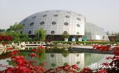 杨凌农业博览园旅游攻略之昆虫博物馆