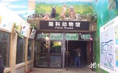 北京动物园旅游攻略之猫科动物馆