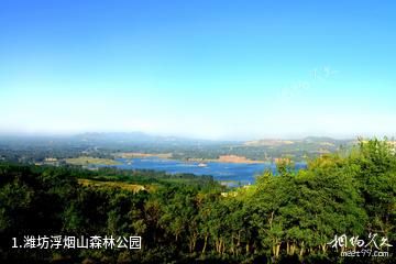 潍坊浮烟山森林公园照片