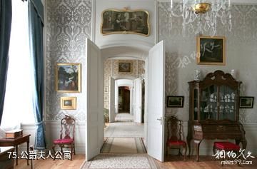 拉脱维亚隆黛尔宫-公爵夫人公寓照片
