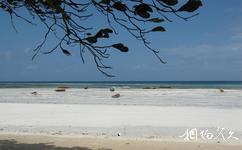 坦尚尼亞桑給巴爾石頭城旅遊攻略之海灘