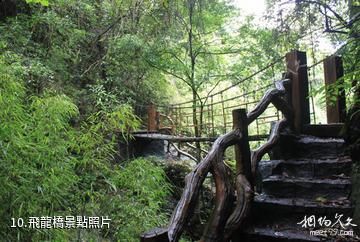 安康雙龍生態旅遊度假區-飛龍橋照片