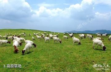 贵州乌蒙大草原-高原草场照片