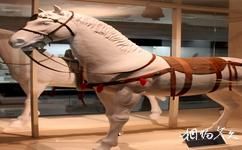 內蒙古博物院旅遊攻略之早期馬具