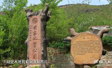 北京白河峽谷-硅化木地質公園照片