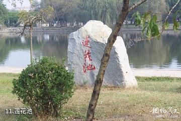 淮安涟水五岛湖风景区-莲花池照片