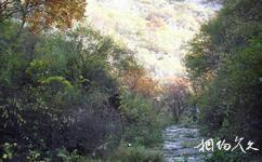 井陘大里岩生態家園旅遊攻略之山林