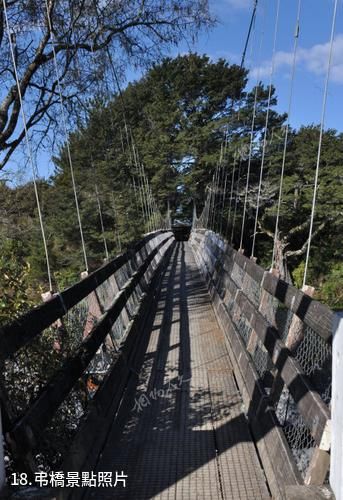 紐西蘭湯加里羅國家公園-弔橋照片