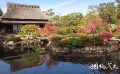 日本奈良旅游攻略之依水园