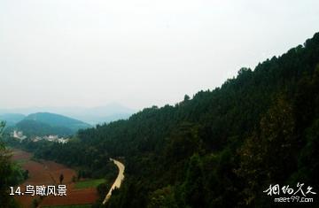 遂宁蓬溪高峰山-鸟瞰风景照片