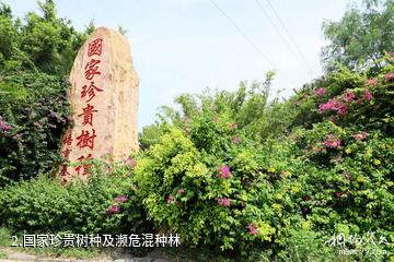 东方自然瑰宝园-国家珍贵树种及濒危混种林照片