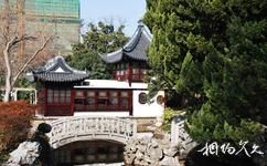 上海桂林公园旅游攻略之荷花池