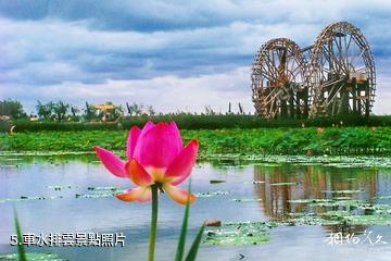 銀川鳴翠湖國家濕地公園-車水排雲照片