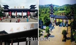 武漢馬鞍山森林公園驢友相冊
