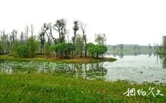 成都白鷺灣生態濕地公園旅遊攻略之濕地