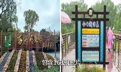 崇明西沙國家濕地公園驢友相冊