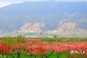 青海海东民和马场垣旅游景点大全