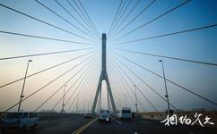 上海杨浦大桥旅游攻略之主桥桥面
