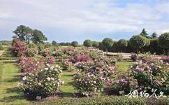 拉脱维亚隆黛尔宫旅游攻略之舒瓦洛夫玫瑰园