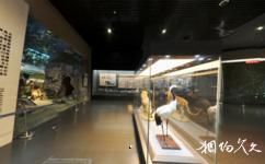 陝西渭南博物館旅遊攻略之渭南故事