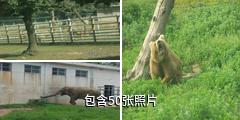 西安秦岭野生动物园驴友相册