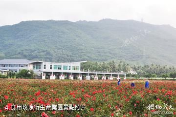 三亞亞龍灣國際玫瑰谷-食用玫瑰衍生產業區照片