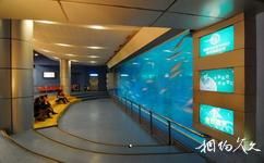 青島海底世界旅遊攻略之科普觀演廳
