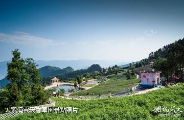 重慶開州紫海雲天香草園-紫海雲天香草園照片