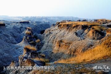 吉林大布苏国家级自然保护区照片