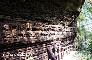 台灣嘉義瑞里風景區-千年蝙蝠洞照片