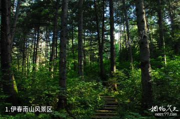 伊春南山风景区照片
