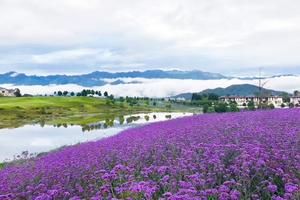 雲南保山騰衝曲石旅遊攻略-曲石鄉景點排行榜