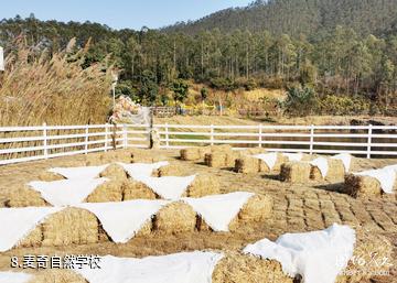 肇庆猫爪谷景区-麦奇自然学校照片
