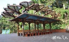 台湾溪头森林公园（溪头自然教育园区）旅游攻略之竹亭