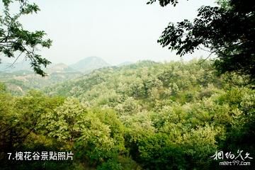 濟南香山旅遊區-槐花谷照片