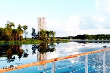 乌苏里湿地千岛林风景区-观景塔照片