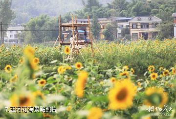 重慶大足棠香人家景區-玉河花海照片